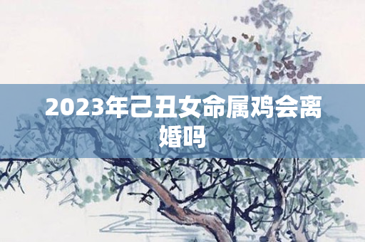 2023年己丑女命属鸡会离婚吗